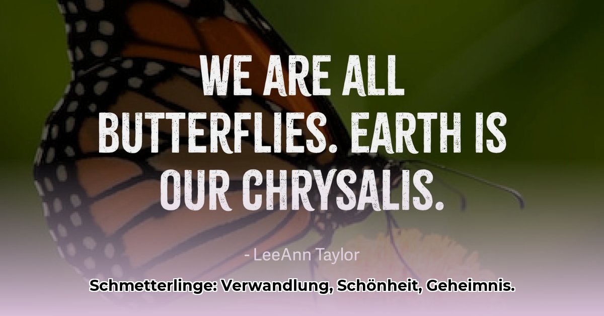 butterfly-quotes